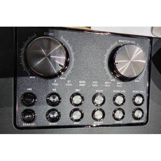 Ασύρματο ηχείο Bluetooth με 2 μικρόφωνα Karaoke - YS-202 - 887165 - Gold