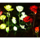 Φωτιζόμενα διακοσμητικά λουλούδια LED με ηλιακό πάνελ - 2pcs - 150289 - Red