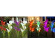 Φωτιζόμενα διακοσμητικά λουλούδια LED με ηλιακό πάνελ - 2pcs - 150302