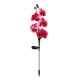 Φωτιζόμενα διακοσμητικά λουλούδια LED με ηλιακό πάνελ - 2pcs - 150388 - Pink
